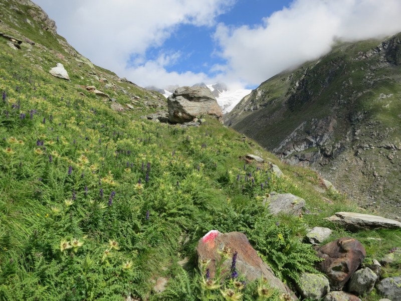 Ströden - Clarahütte - Ahrnkopf
