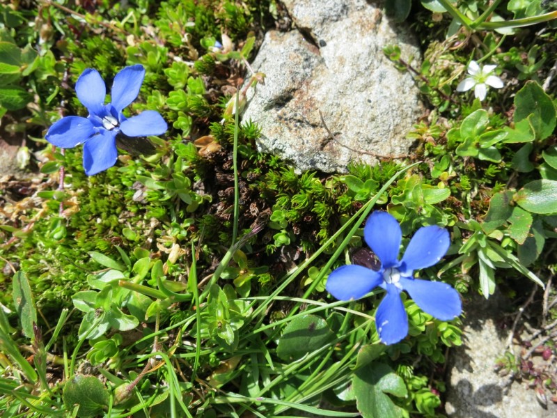 Ströden - Clarahütte - Ahrnkopf