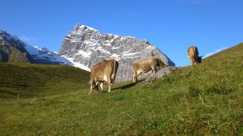 Surenenpass