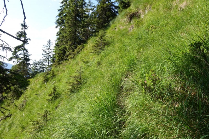 Teufelskapelle