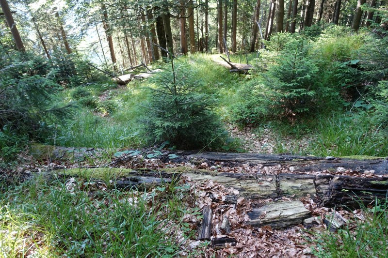 Teufelskapelle