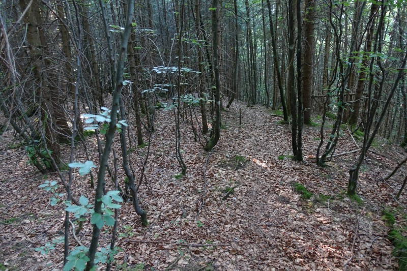 Teufelskapelle