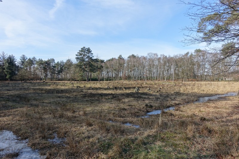 Teverener Heide