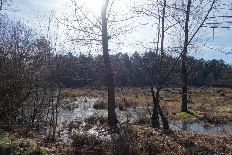 Teverener Heide