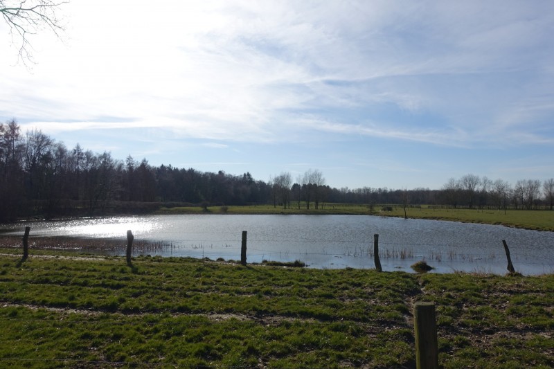 Teverener Heide