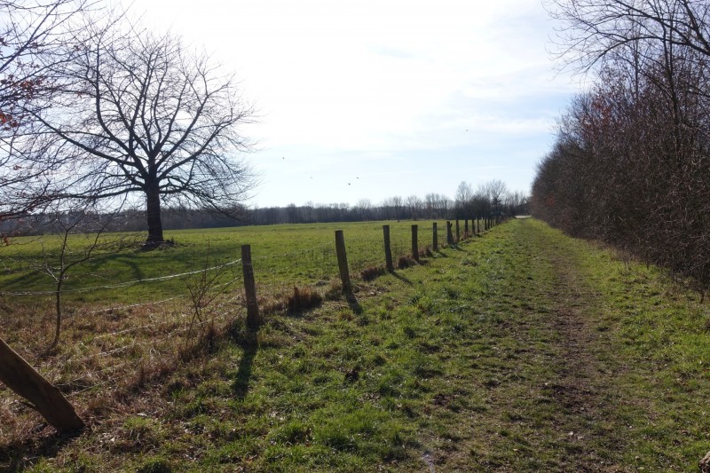 Teverener Heide