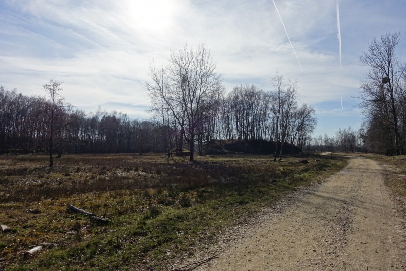 Teverener Heide