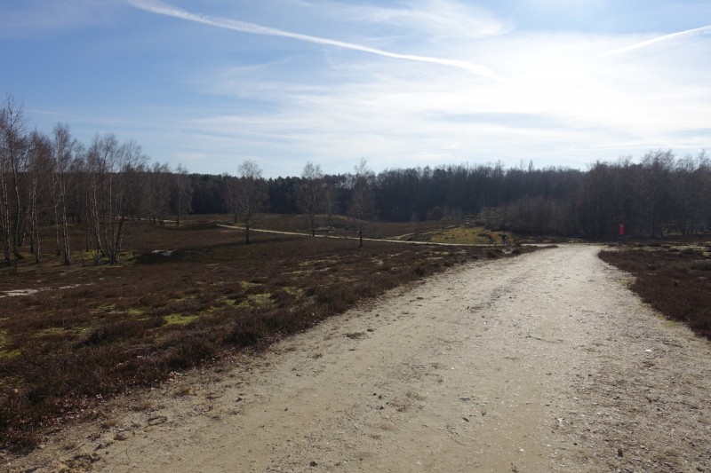 Teverener Heide