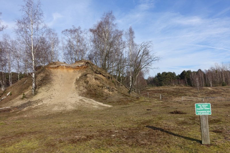 Teverener Heide