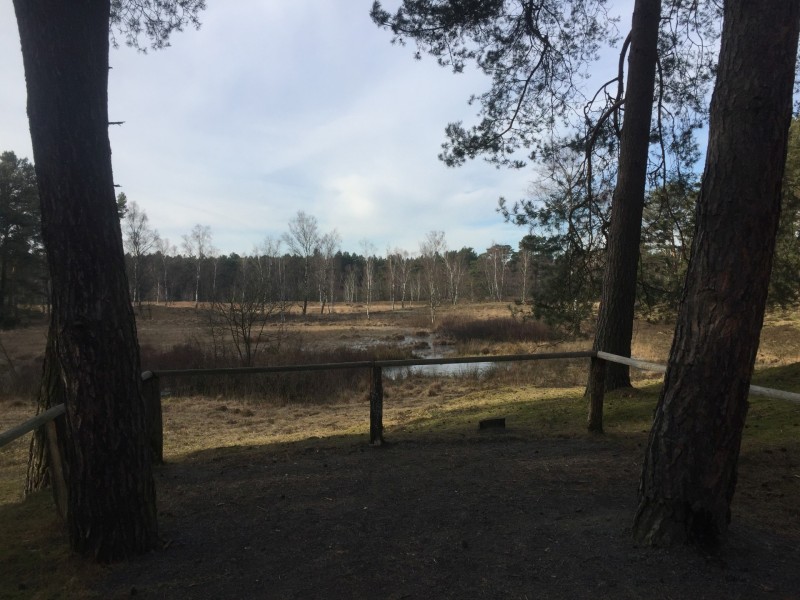 Teverener Heide