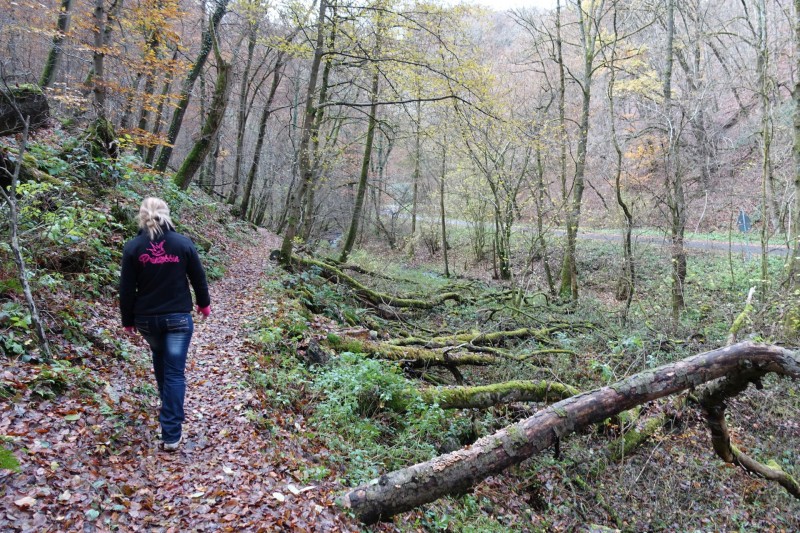 Traumpfad Hatzenporter Laysteig