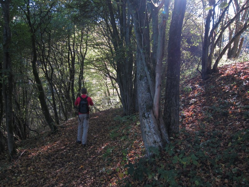 Traumpfad Hochbermeler