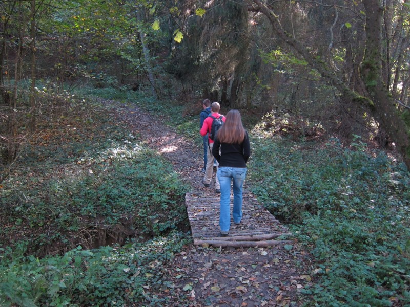 Traumpfad Hochbermeler