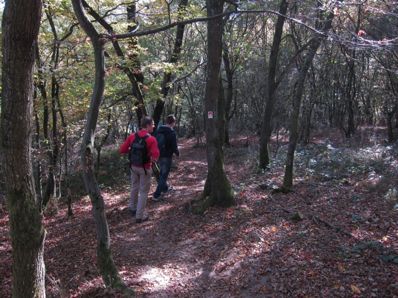 Traumpfad Hochbermeler
