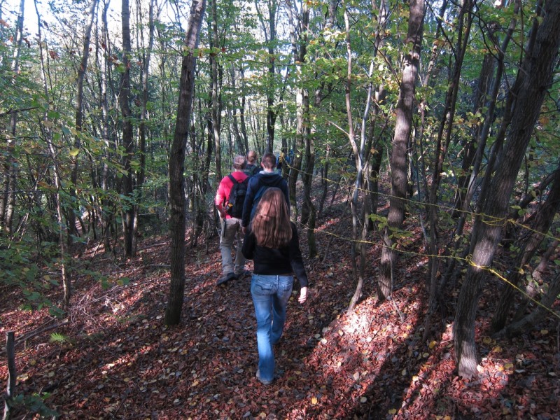 Traumpfad Hochbermeler