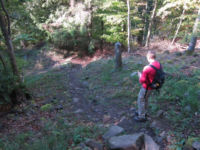 Traumpfad Hochbermeler