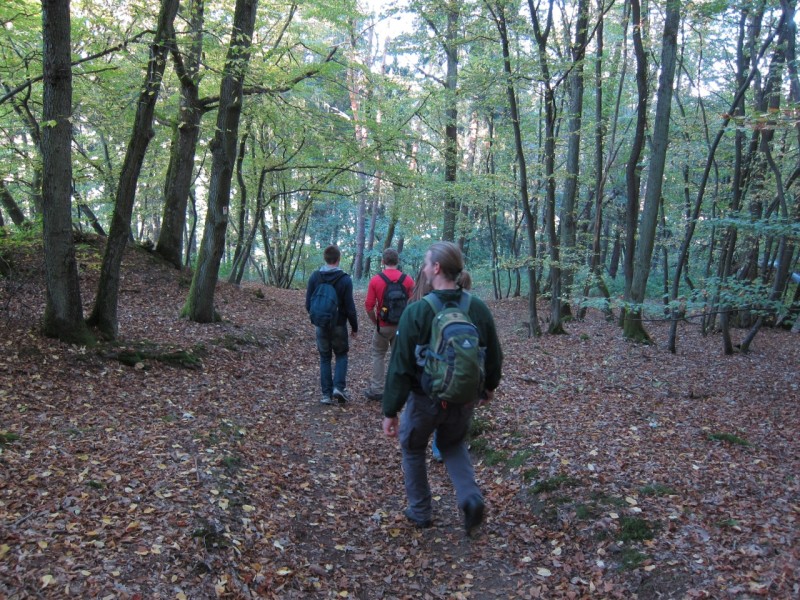 Traumpfad Hochbermeler