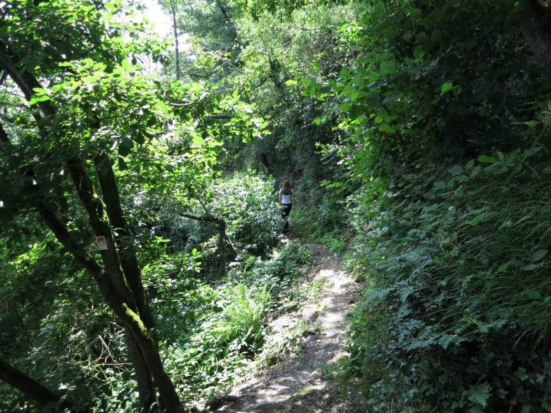 Traumpfad Koberner Burgpfad