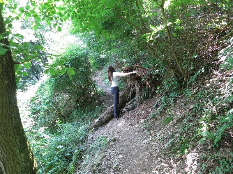 Traumpfad Koberner Burgpfad