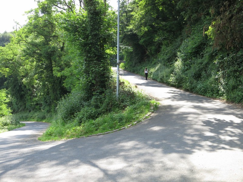 Traumpfad Koberner Burgpfad