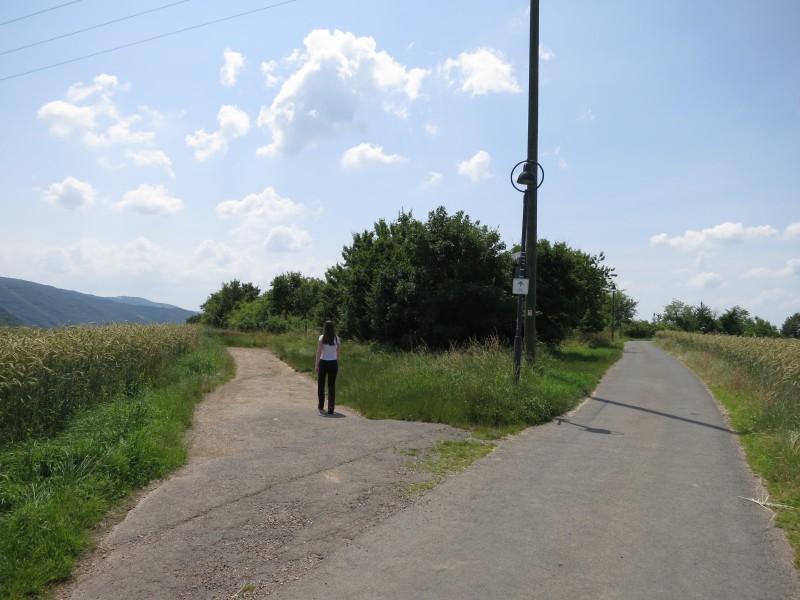 Traumpfad Koberner Burgpfad