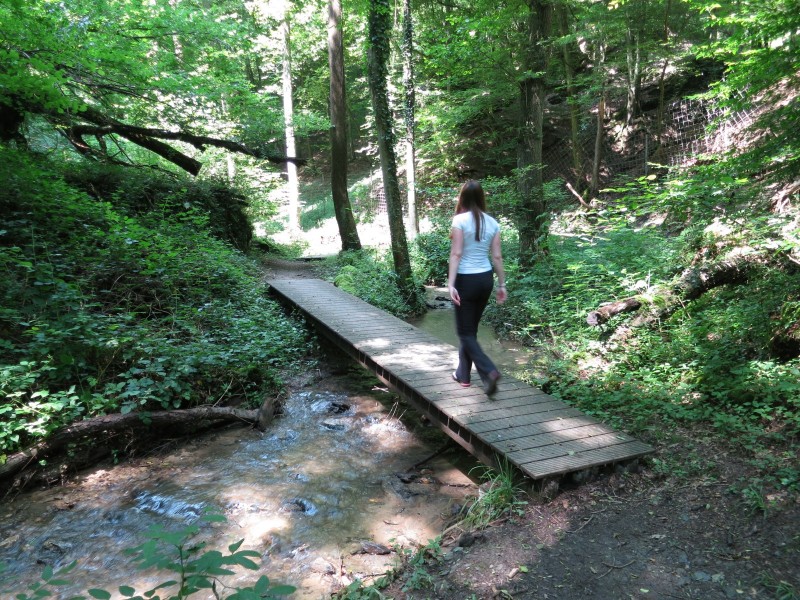 Traumpfad Koberner Burgpfad