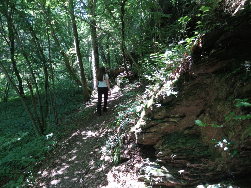 Traumpfad Koberner Burgpfad