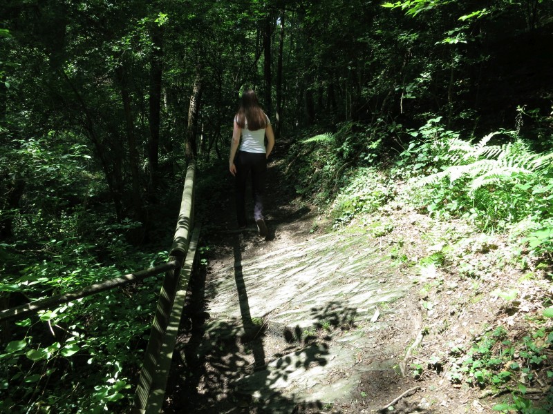 Traumpfad Koberner Burgpfad