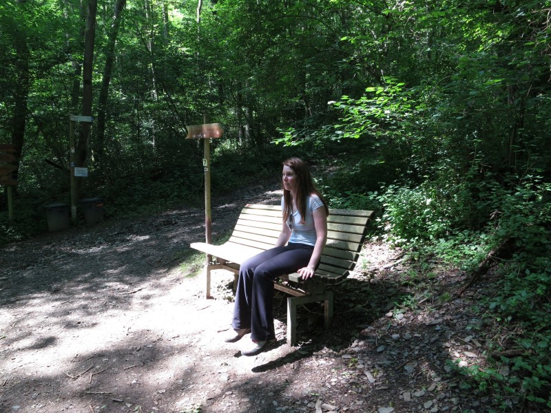 Traumpfad Koberner Burgpfad