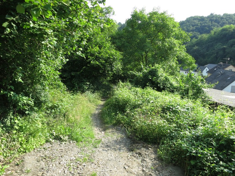 Traumpfad Koberner Burgpfad