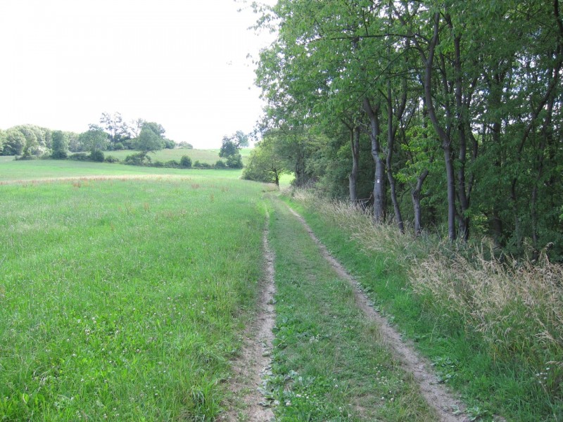 Traumpfad Monrealer Ritterschlag