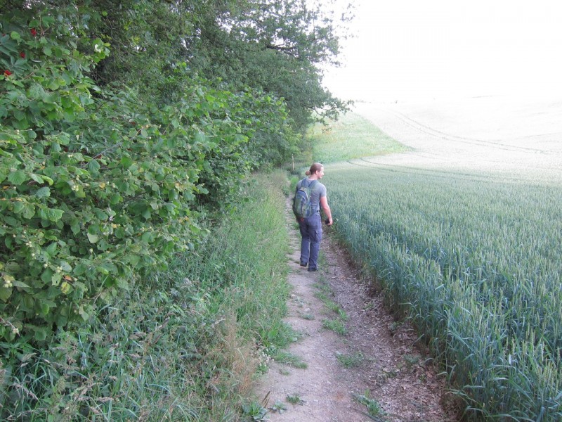 Traumpfad Monrealer Ritterschlag