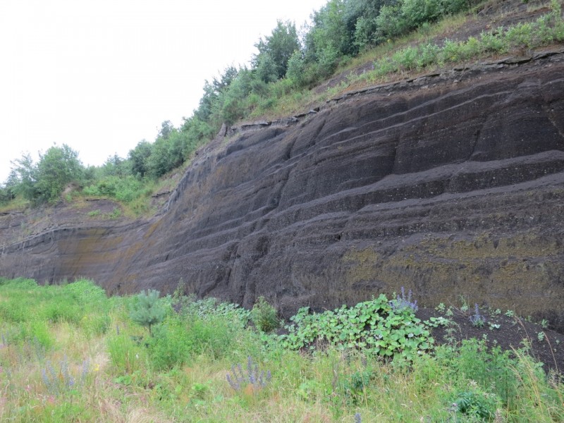 Traumpfad Pellenzer Seepfad