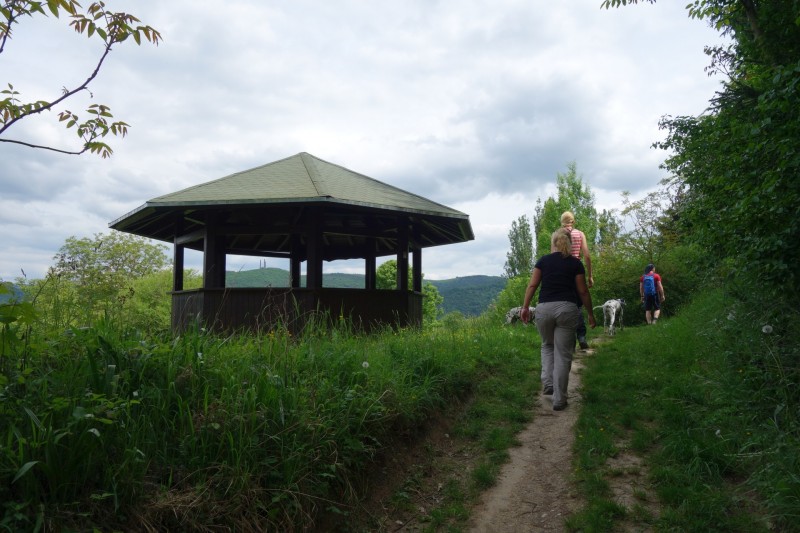 Traumpfad Rheingoldbogen (Uhrzeigersinn)