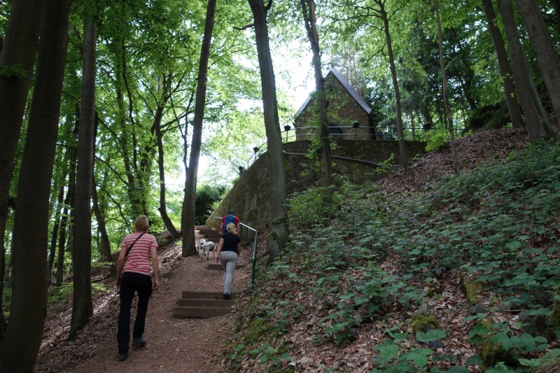 Traumpfad Rheingoldbogen (Uhrzeigersinn)