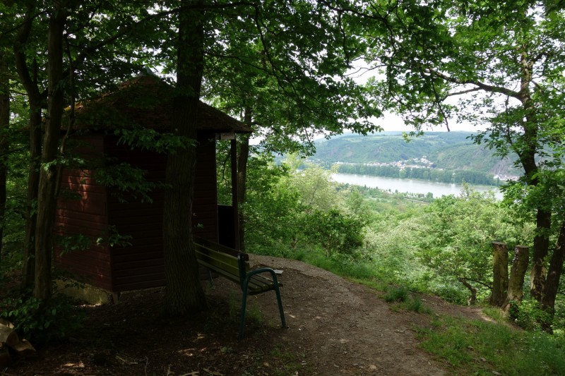 Traumpfad Rheingoldbogen (Uhrzeigersinn)