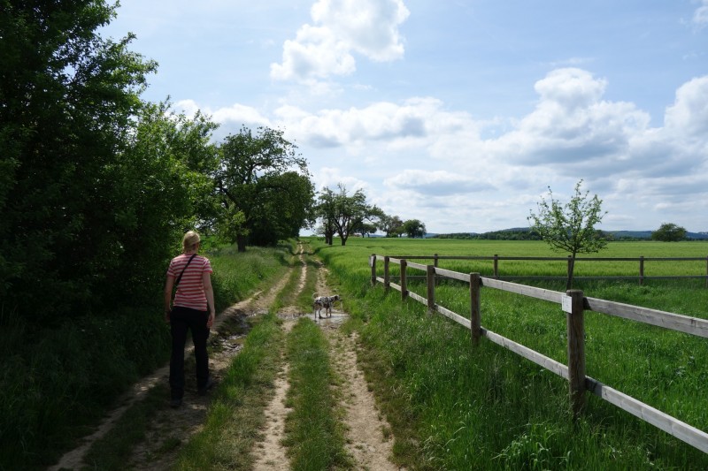 Traumpfad Rheingoldbogen (Uhrzeigersinn)