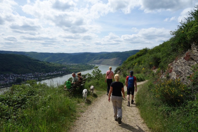 Traumpfad Rheingoldbogen (Uhrzeigersinn)