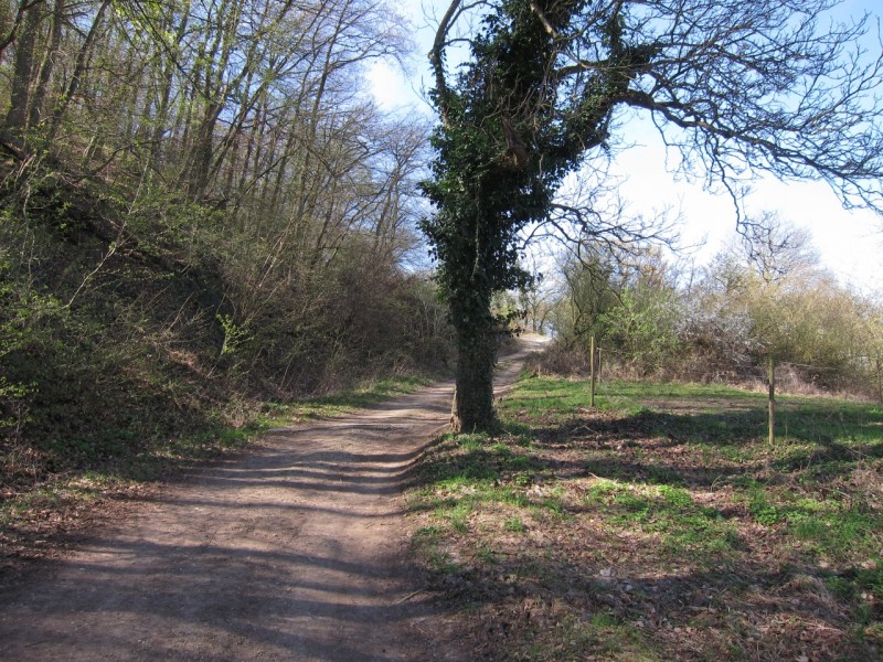 Traumpfad Rheingoldbogen