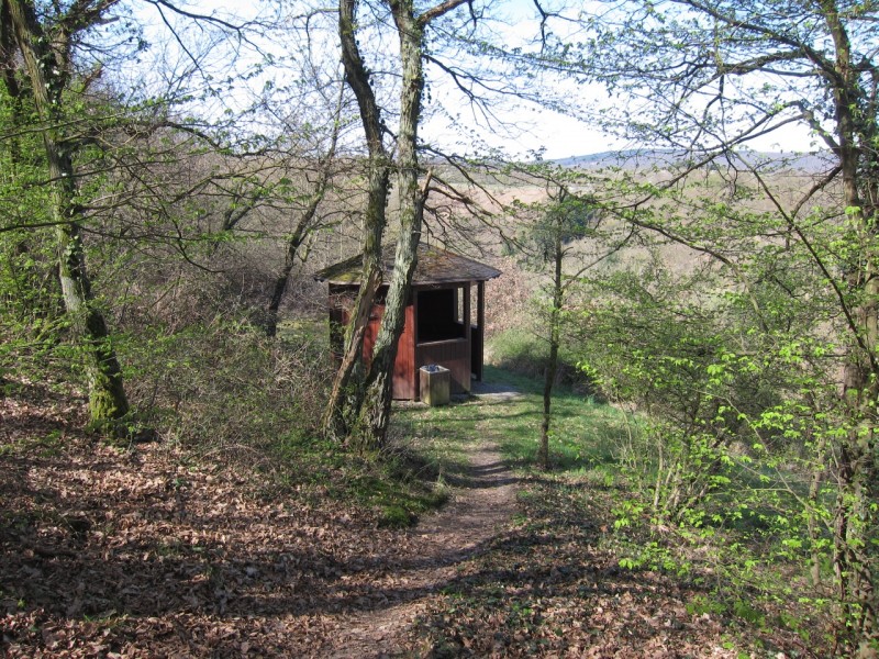 Traumpfad Rheingoldbogen