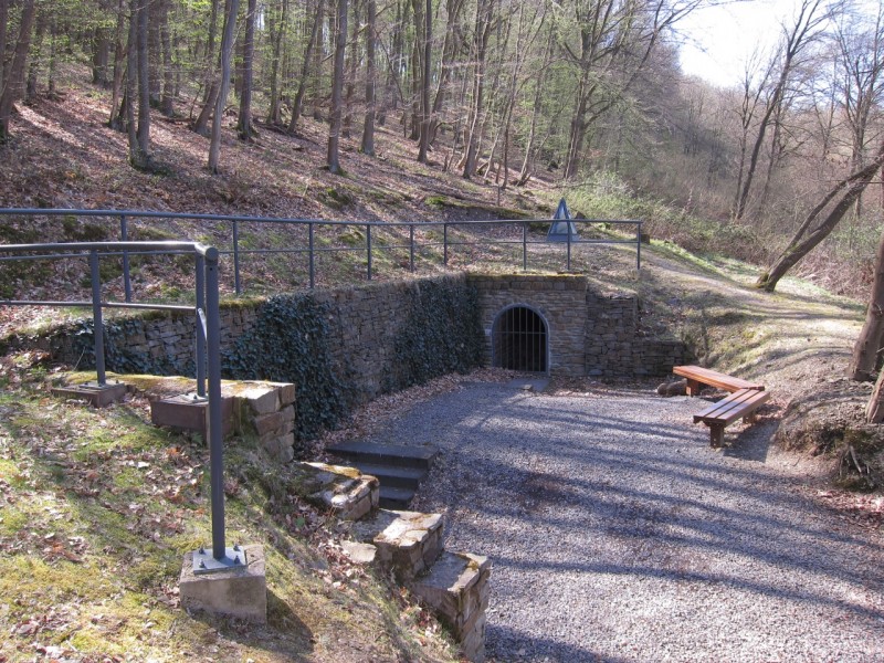 Traumpfad Rheingoldbogen