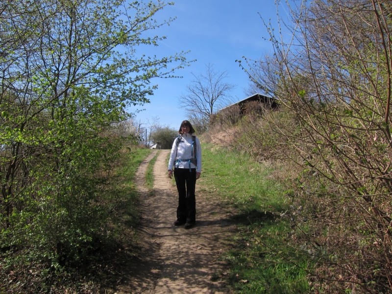 Traumpfad Rheingoldbogen