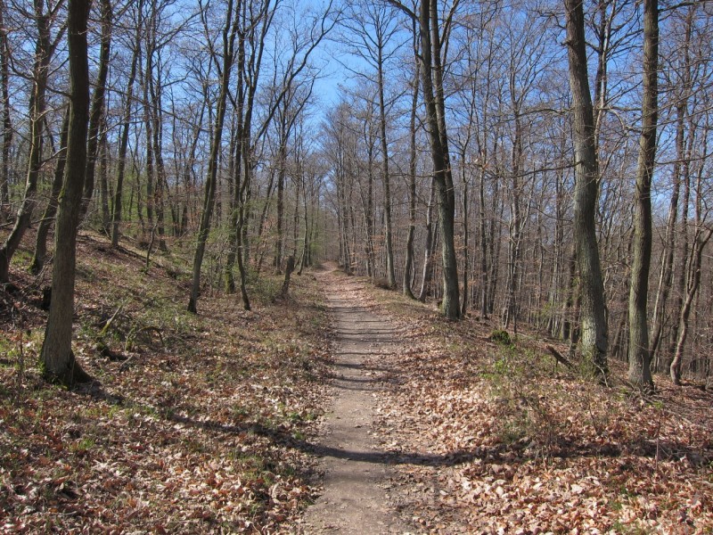 Traumpfad Rheingoldbogen