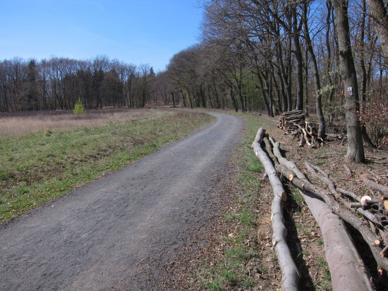 Traumpfad Rheingoldbogen