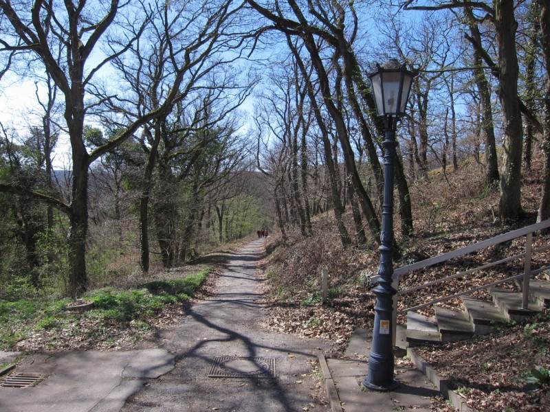 Traumpfad Rheingoldbogen