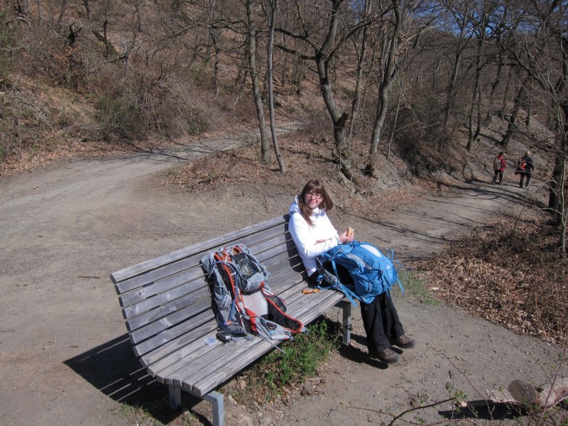 Traumpfad Rheingoldbogen