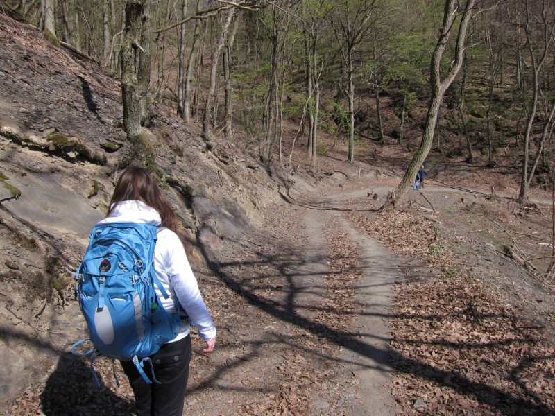 Traumpfad Rheingoldbogen