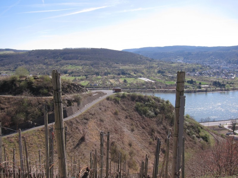 Traumpfad Rheingoldbogen
