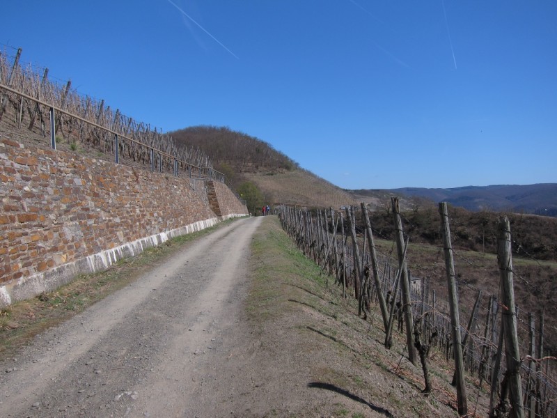 Traumpfad Rheingoldbogen