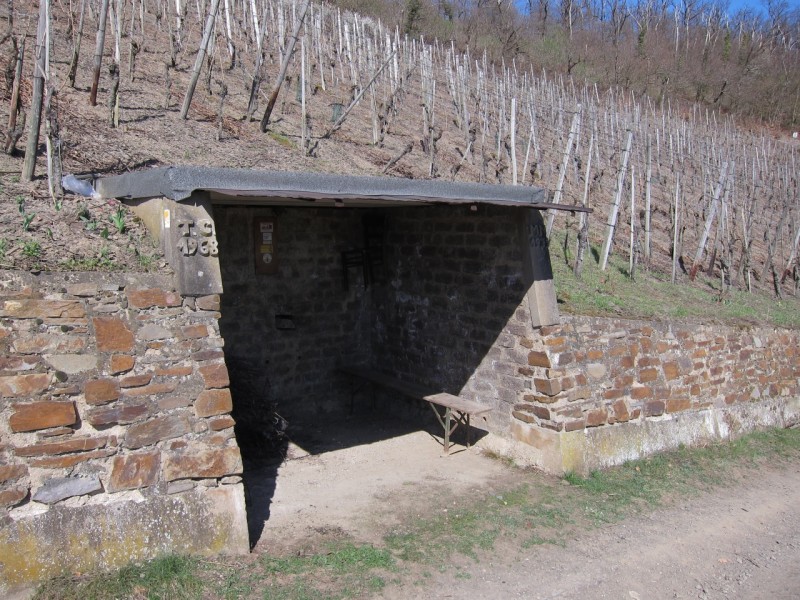 Traumpfad Rheingoldbogen